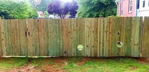 Bubbles float in front of a wooden fence in a grassy yard. Trees and a house are in the background.