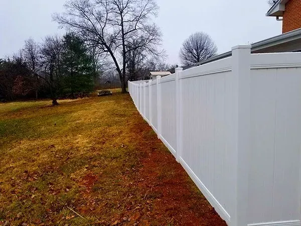 White vinyl fence bordering a yard with brown grass and leafless trees under a cloudy sky.