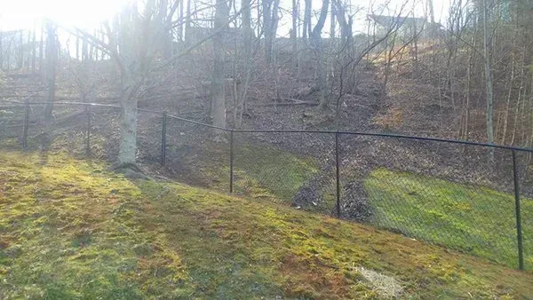 Black chain-link fence on a grassy hill, with bare trees in the background.