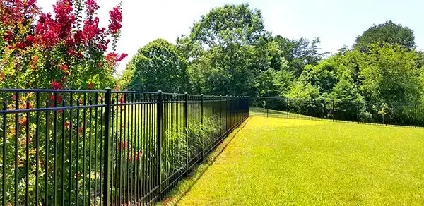Black metal fence bordering a green lawn, with trees and a red-flowered bush in the background.