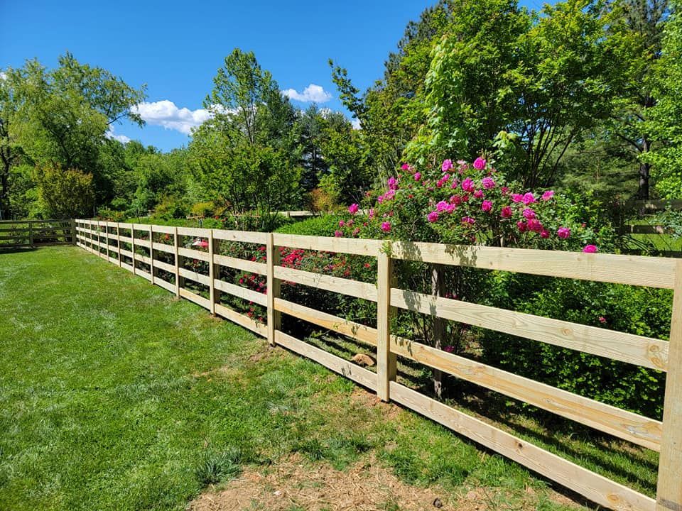 Wooden fence in a green yard, with trees and pink flowers in the background, under a blue sky.