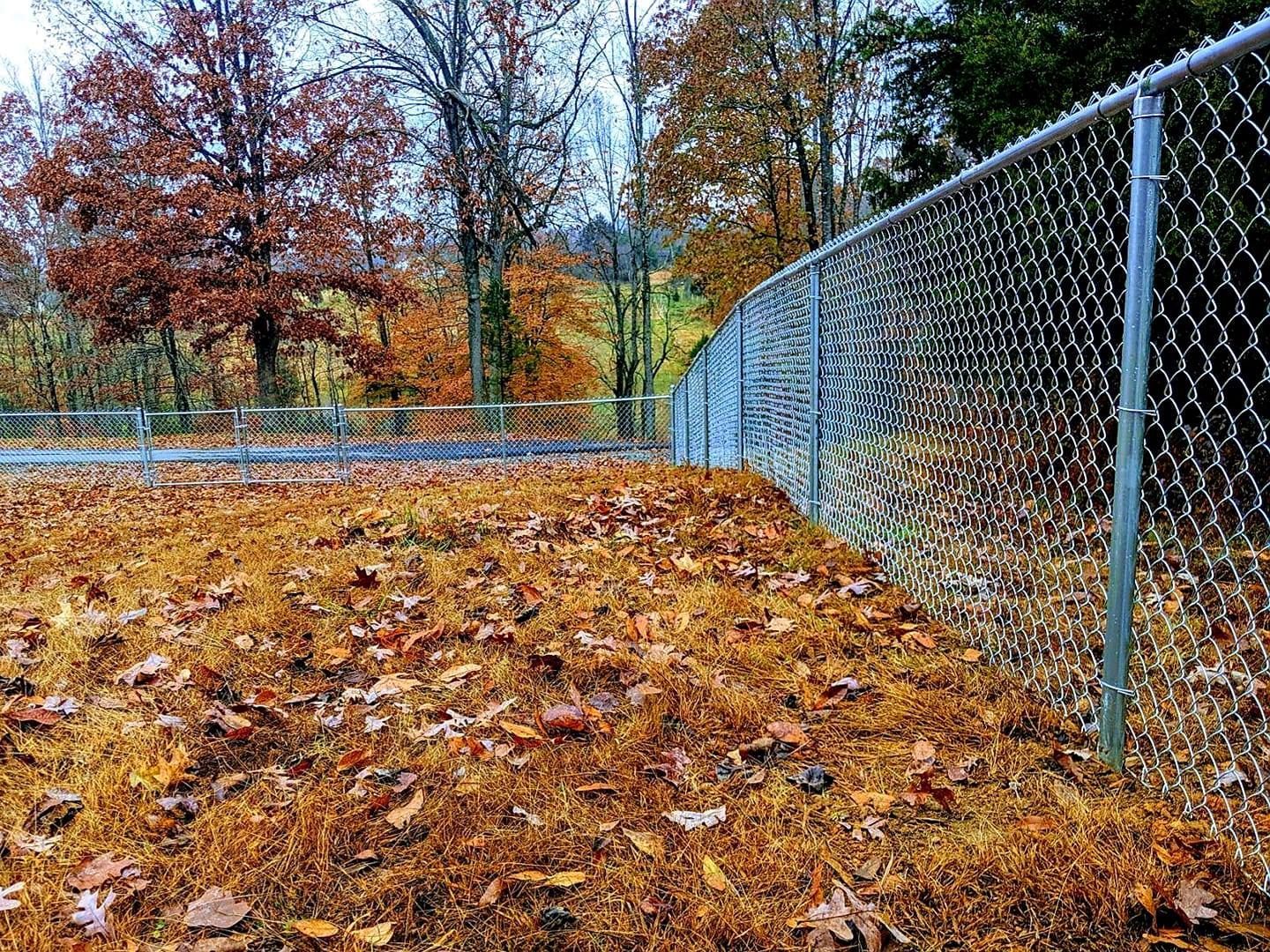 Chain-link fence borders a grassy area covered in fallen brown leaves, with trees in the background showing autumn colors.