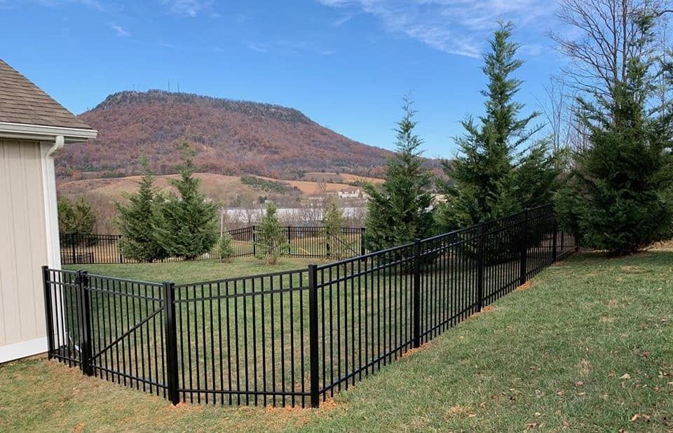 Black metal fence in a yard with a mountain backdrop and evergreen trees.