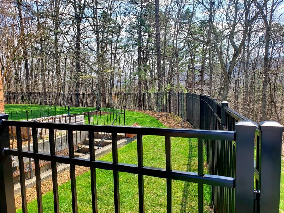 Black metal fence bordering a green lawn, trees in the background.