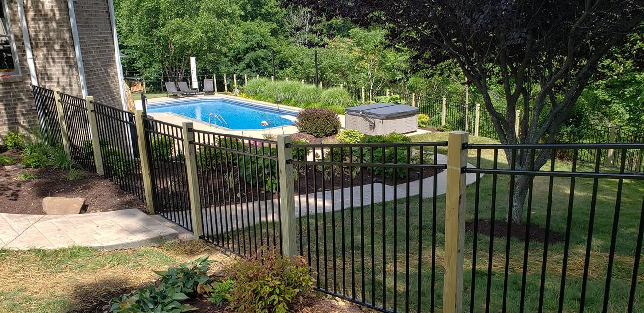 Black fenced-in pool with a tree and greenery surrounding it. The setting is outdoors.