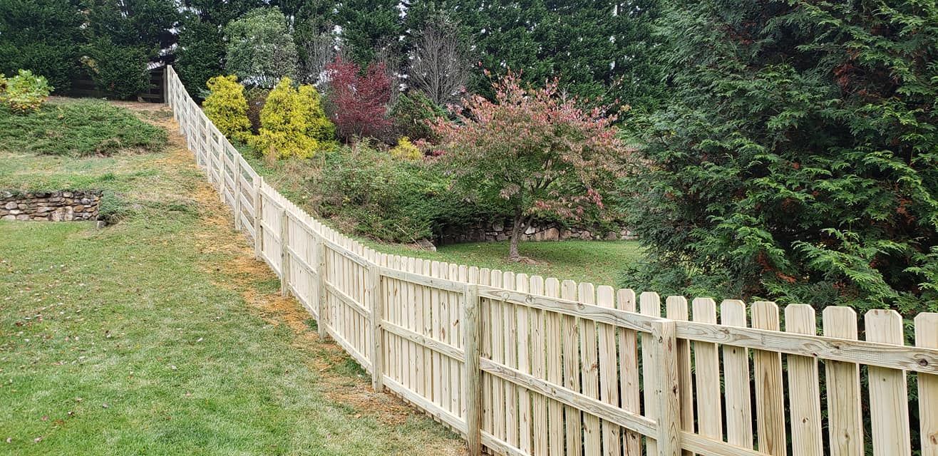 Wooden fence curves along a grassy yard, with trees and shrubs in the background.