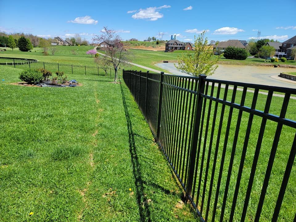 Black metal fence lines a green grassy yard in a suburban setting.
