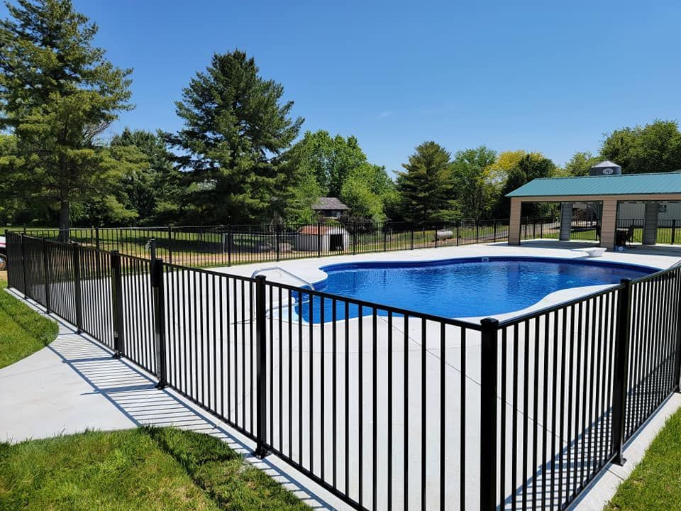 Black metal fence surrounds a blue swimming pool in a sunny yard.
