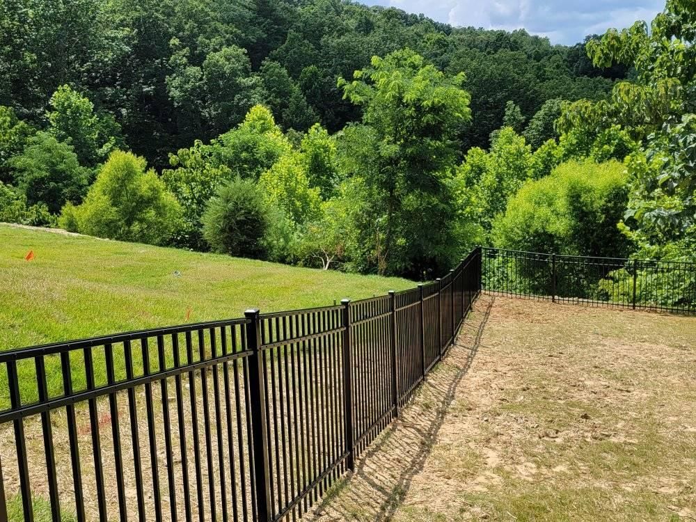 Black metal fence bordering a grassy area with trees and a forest in the background on a sunny day.