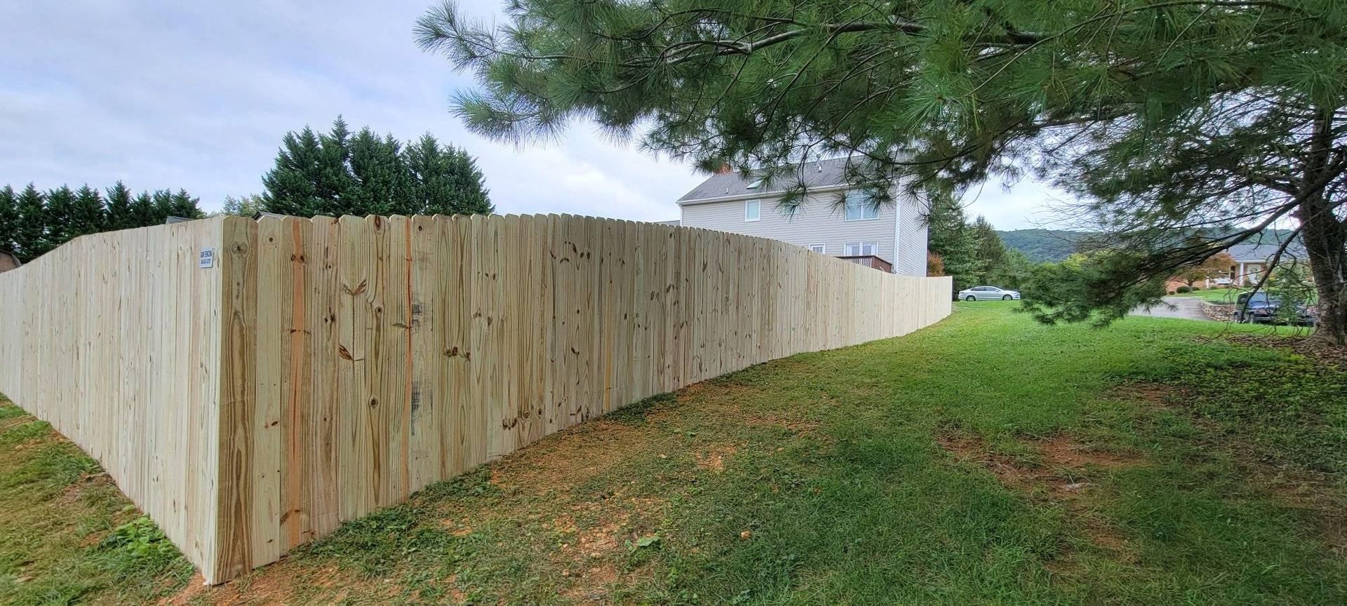 A wooden fence curves around a grassy yard, under a cloudy sky.
