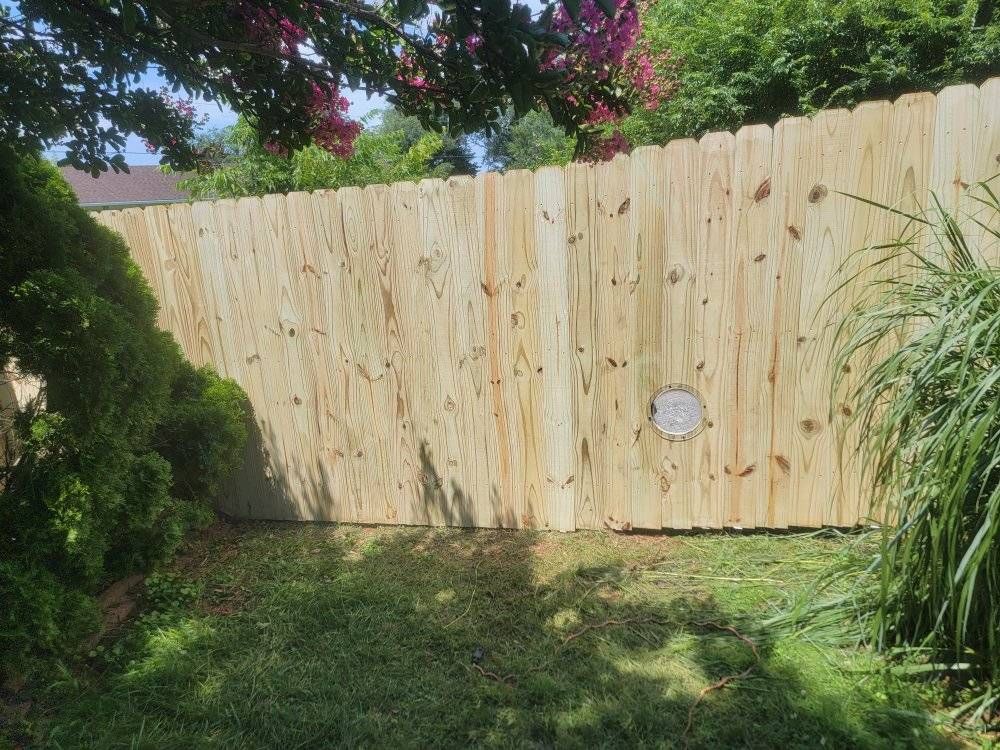 Wooden fence in a backyard, with green grass and foliage.