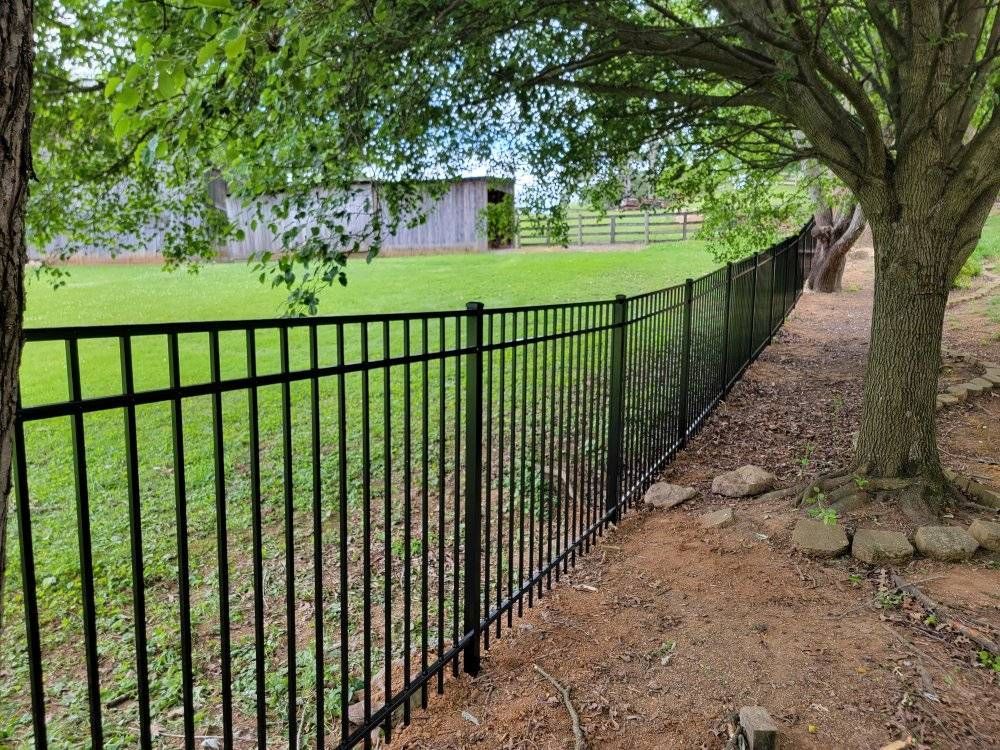 Black metal fence along a grassy yard, trees overhead.