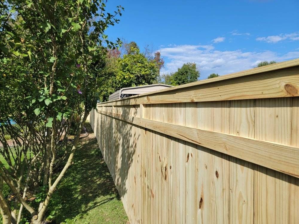 Wooden fence stretches into the distance, with a light blue sky and trees in the background.