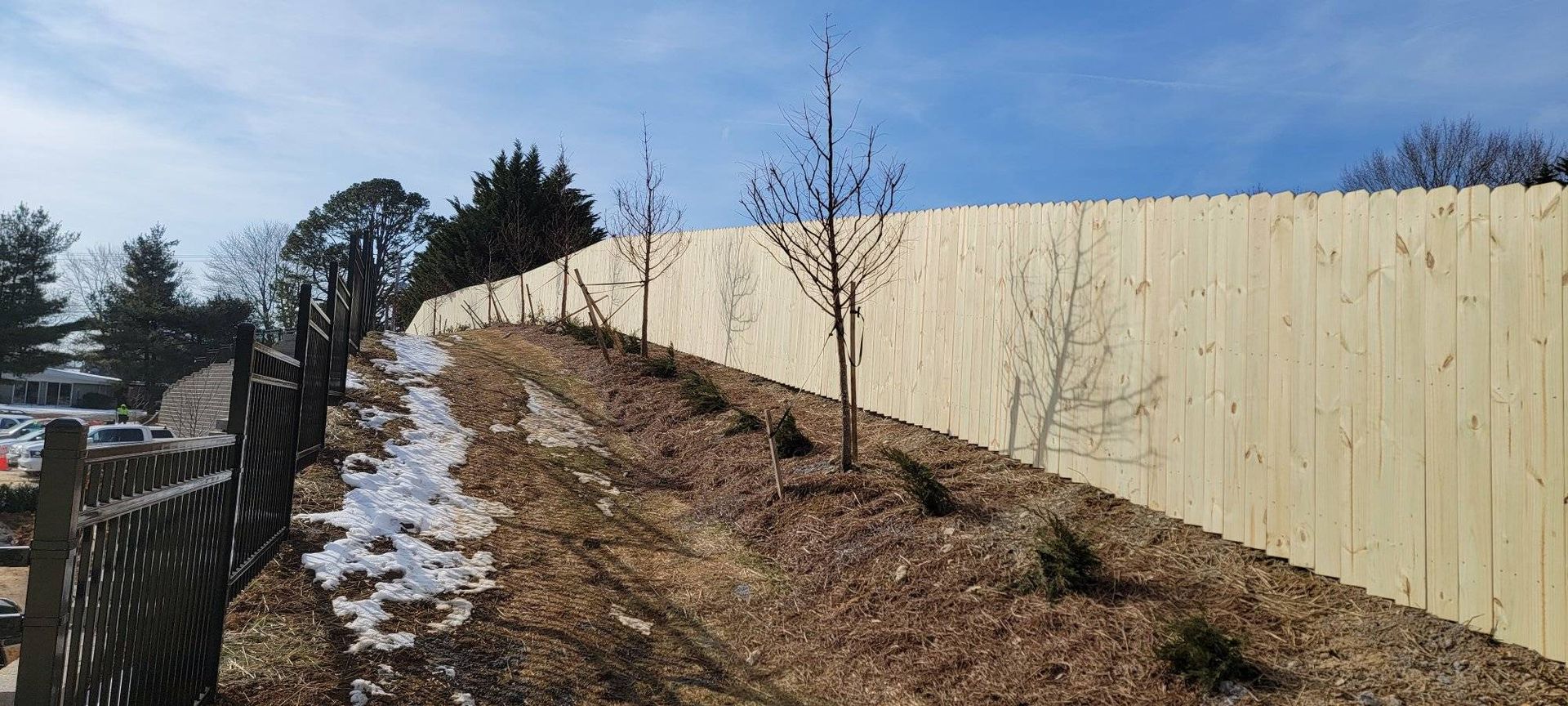 Wooden fence along a hill with young trees and patches of snow on a sunny day.