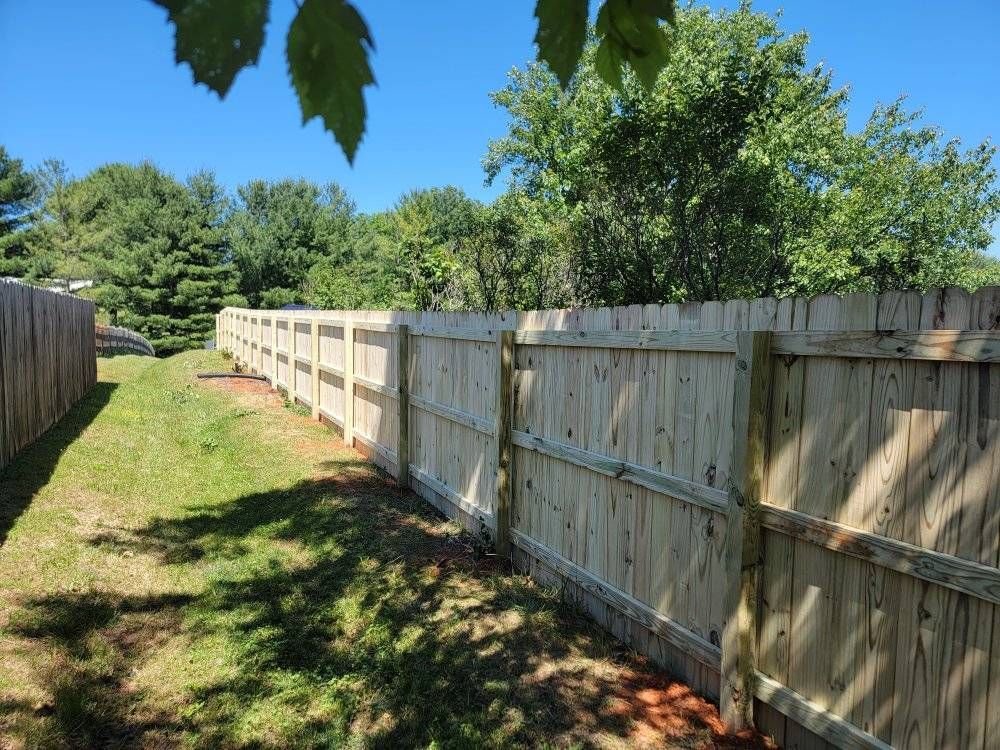 Wooden fence in a sunny yard with trees in the background.