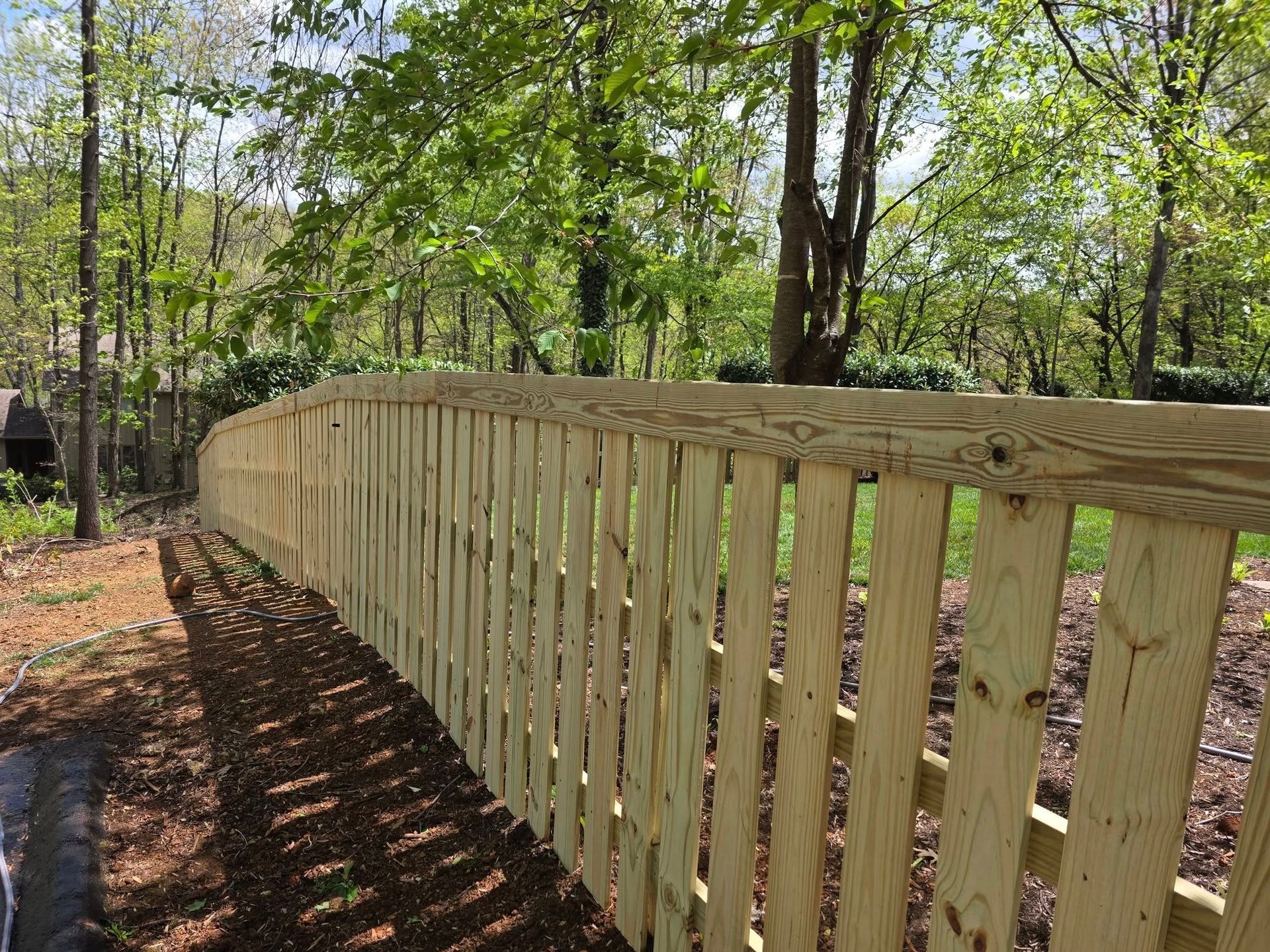 Wooden fence curving through a wooded area on a sunny day.