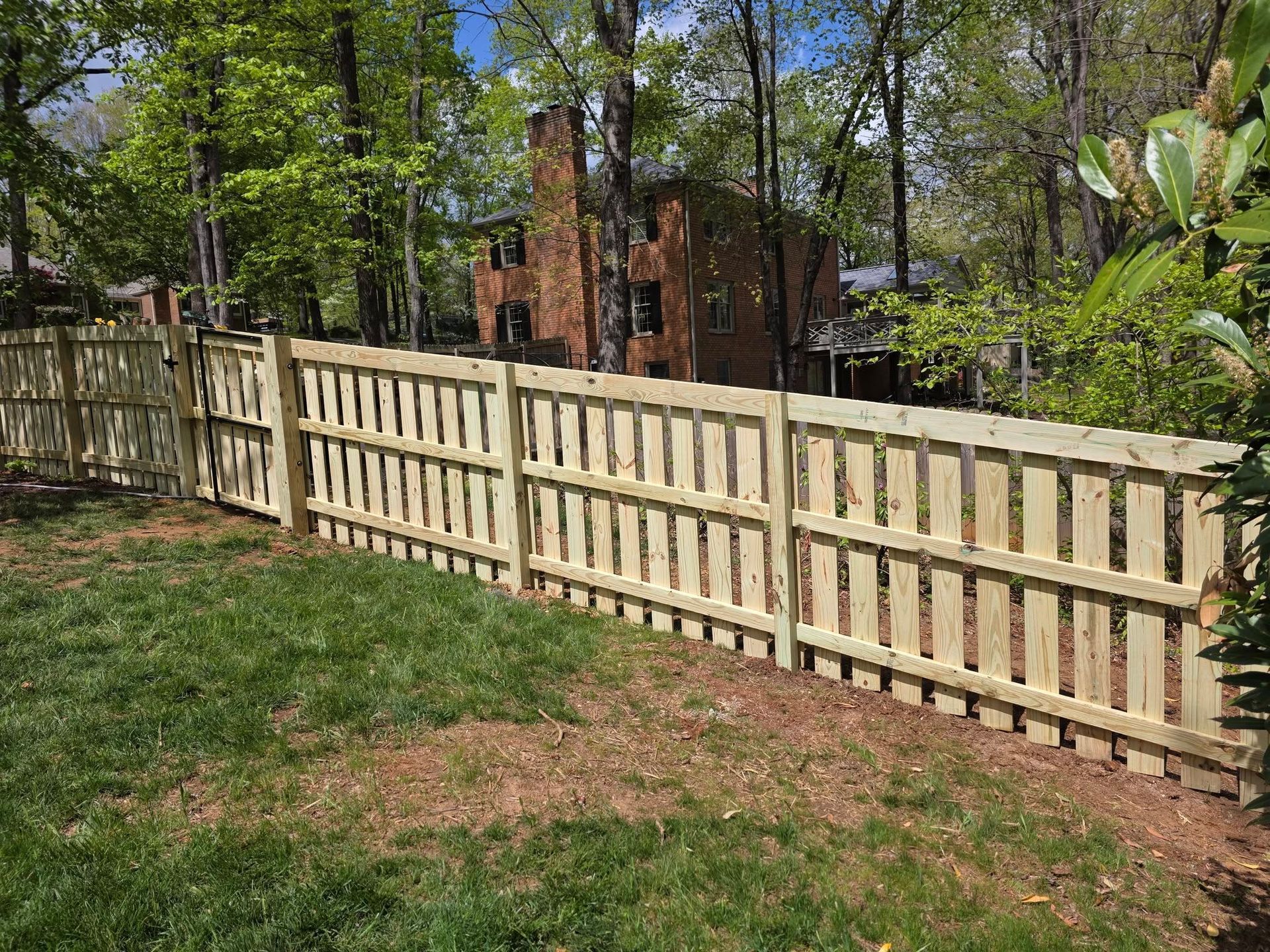 Wooden fence surrounding a grassy backyard with a house in the background. Sunny day.