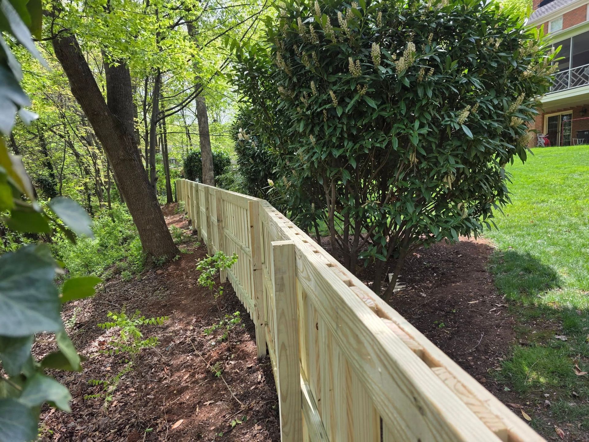 Wooden fence bordering a grassy yard and a wooded area, trees and bushes visible.