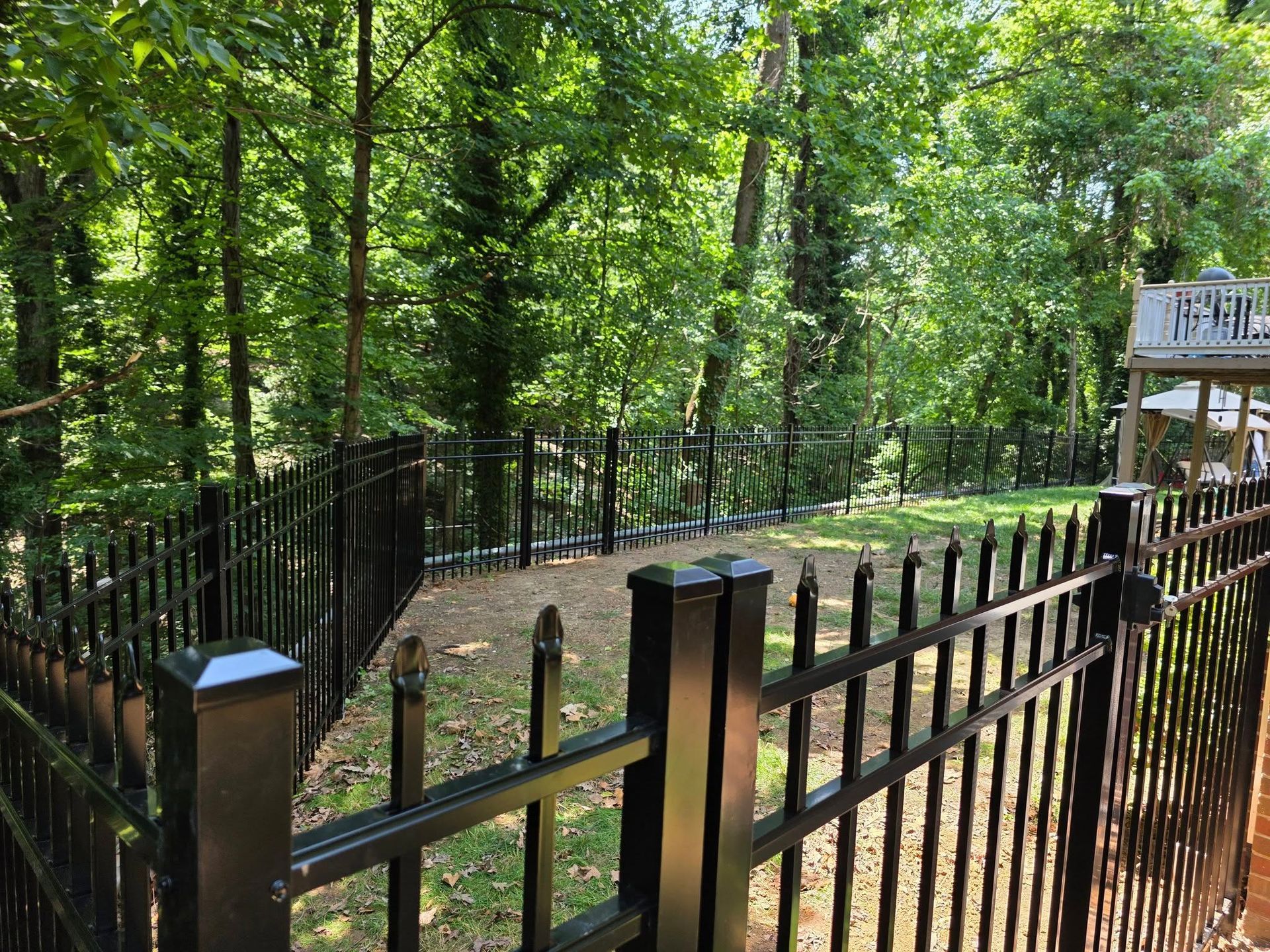 Black metal fence surrounds a grassy yard, backed by trees. Sunlight filters through the leaves.