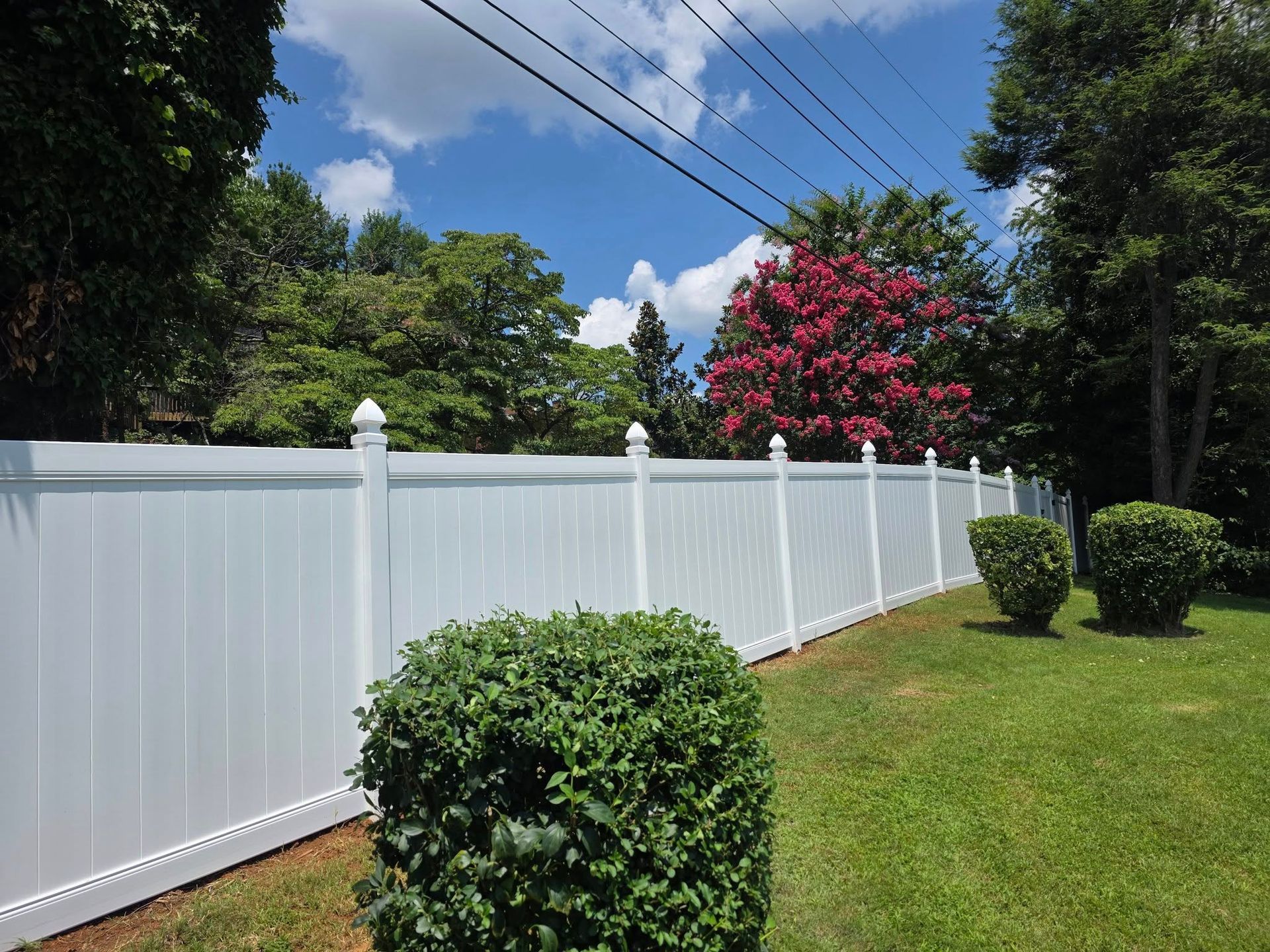 White vinyl fence in a grassy yard, under a blue sky with trees.