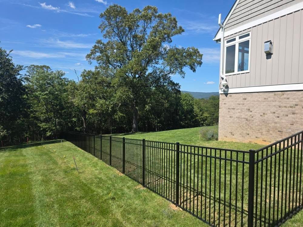 Black metal fence along a grassy yard, house on the right, trees in the background under a blue sky.