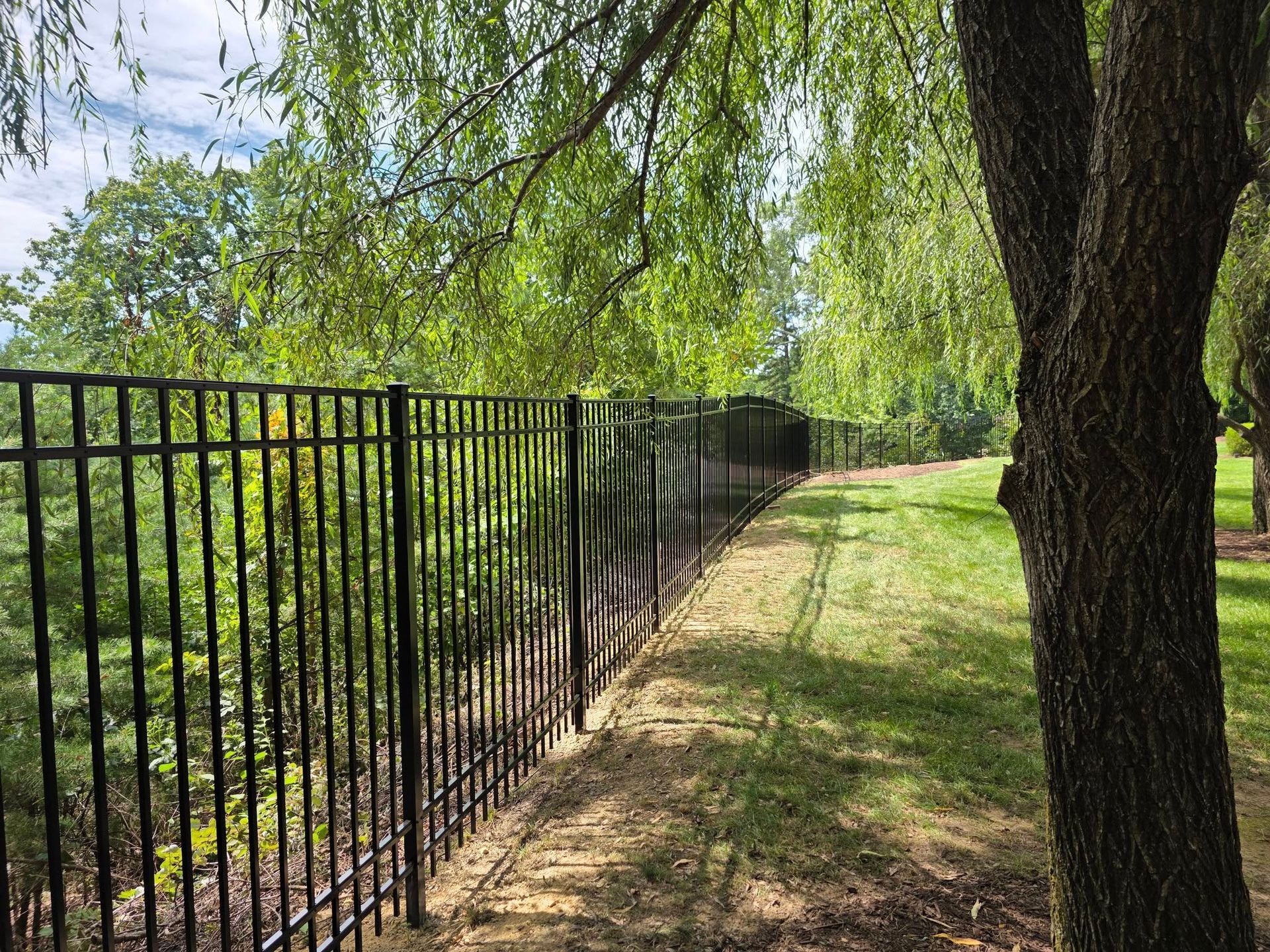 Black metal fence along a grassy slope, trees overhead, sunny day.
