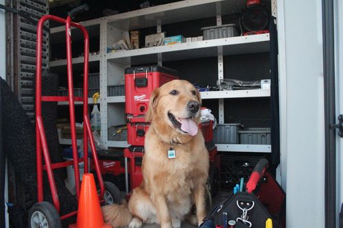 Primo Plumbing & Heating