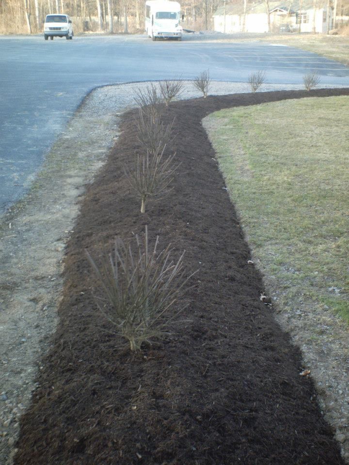A mulched flower bed with young plants next to a paved road and grass. Two vehicles are in the background.