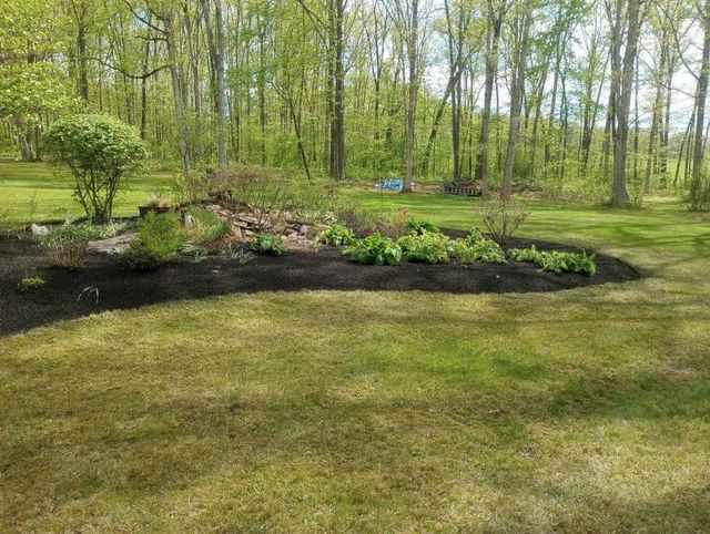 A garden bed with dark mulch and green plants, surrounded by grass and trees.