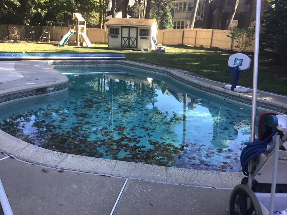A pool filled with leaves, next to a concrete patio and a lawn with a playset and shed in the background.