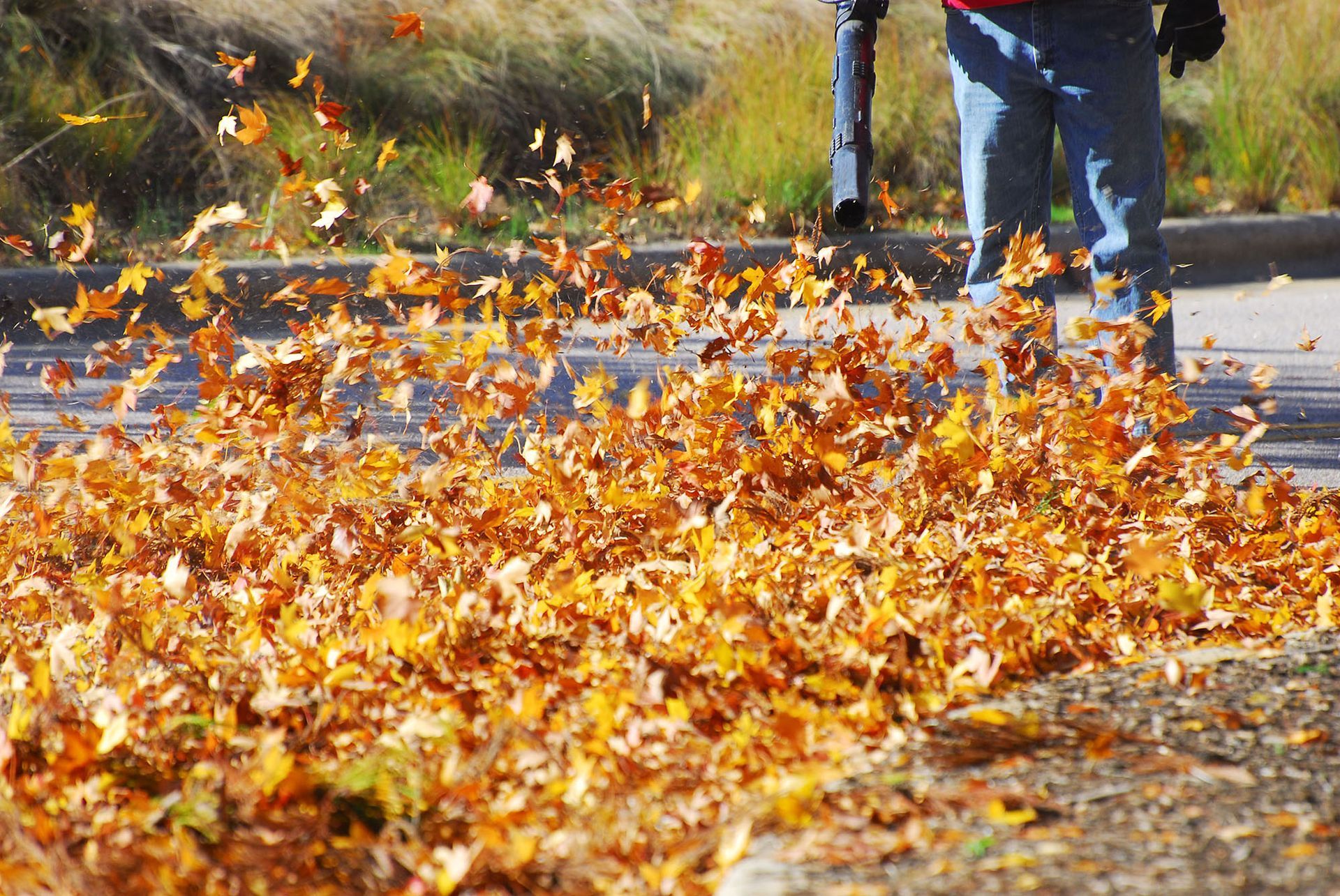 Seasonal Clean-Up