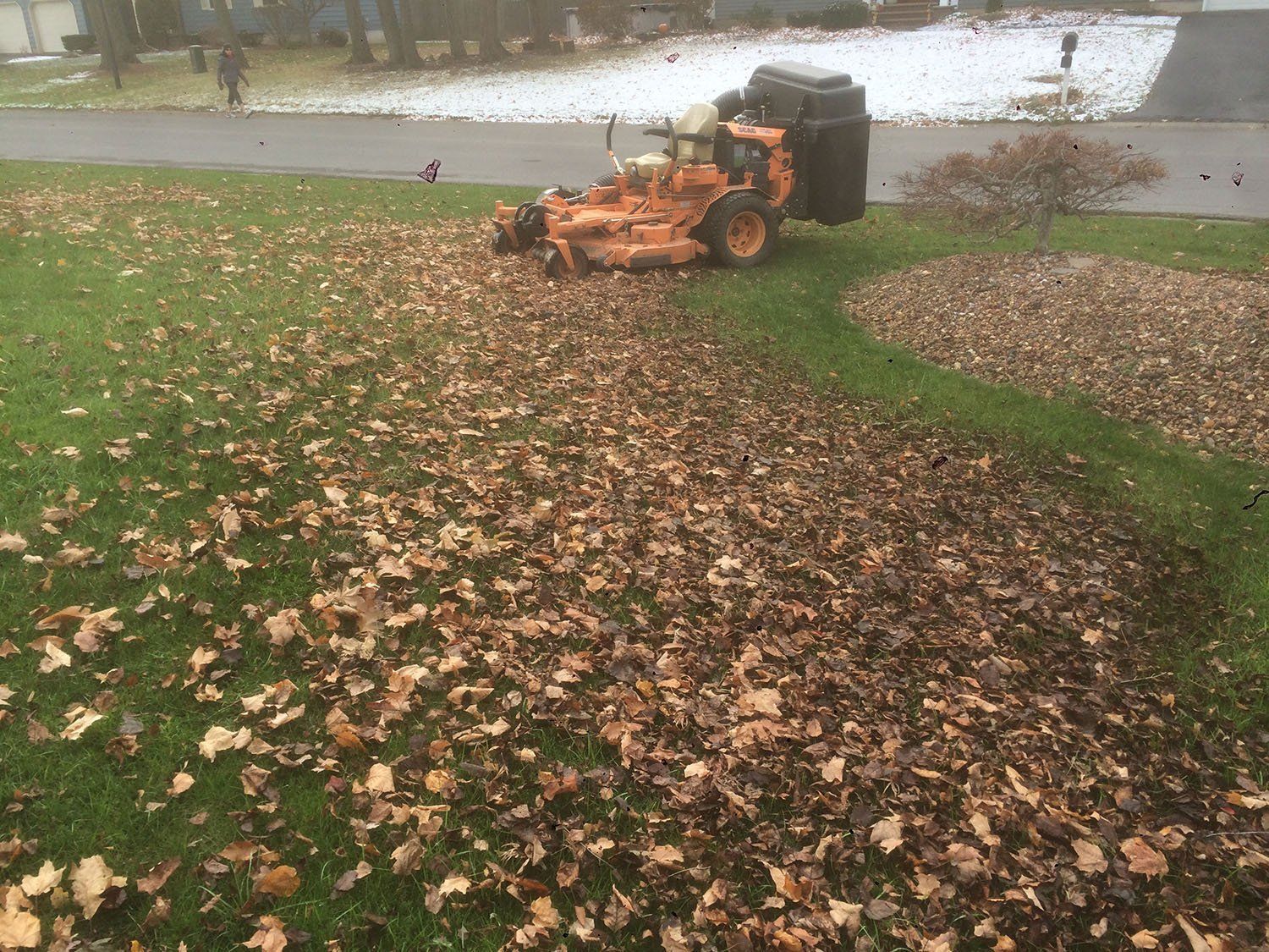 Fall Cleanups