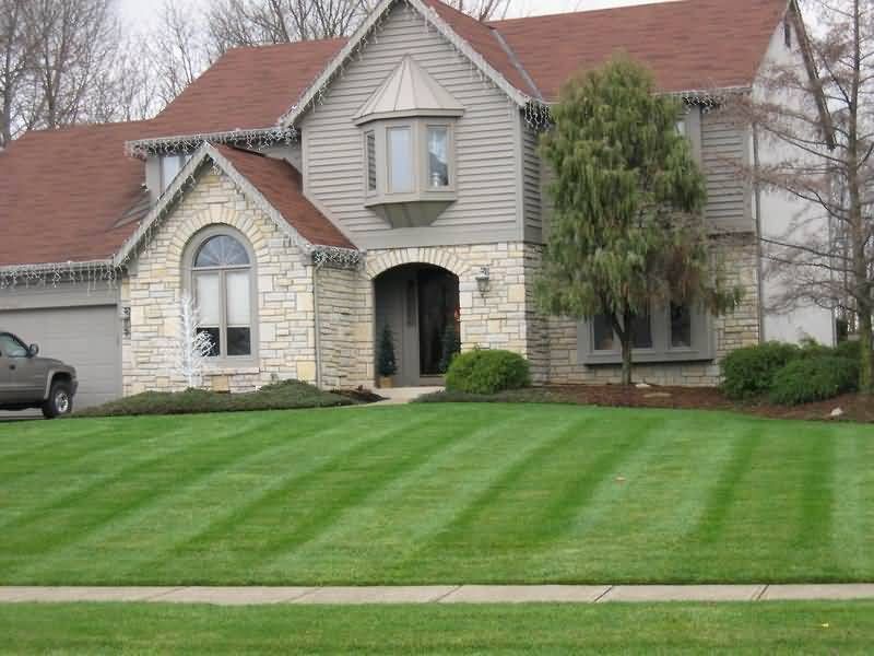 Lawn Maintenance