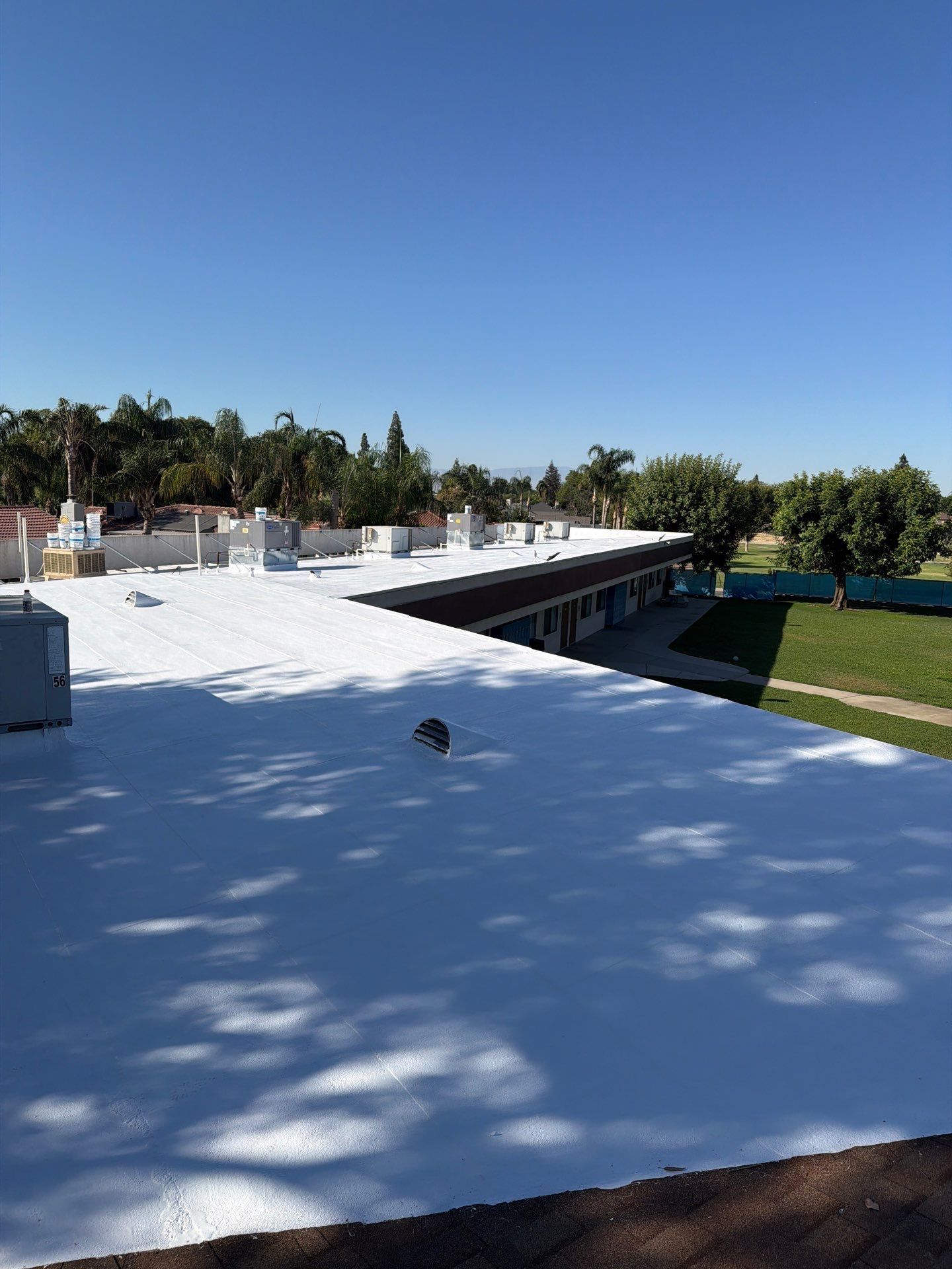Rooftop terrace with white surface, blue sky, and trees along a grassy edge