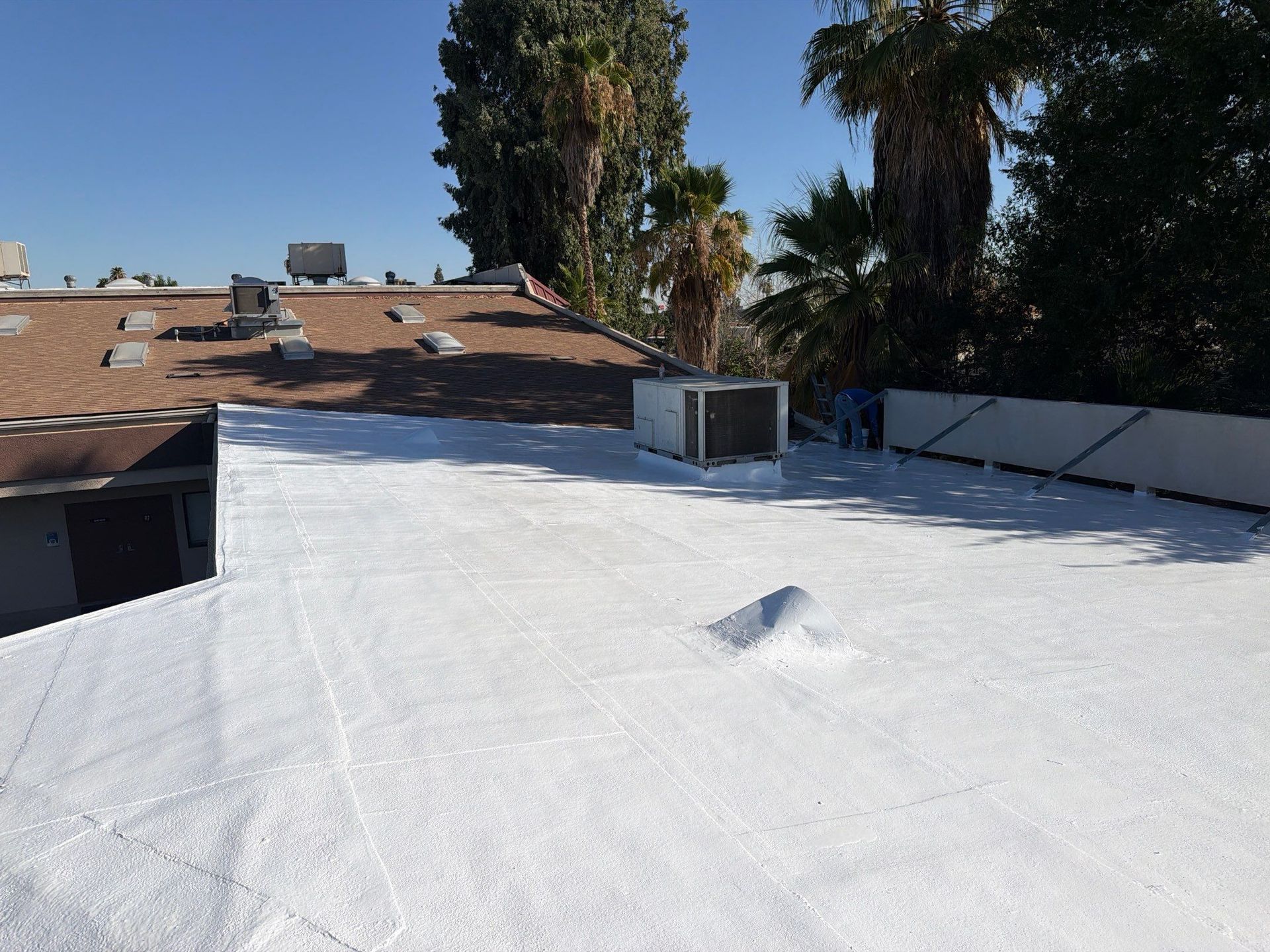 Flat white rooftop with skylights and trees in the background under a blue sky
