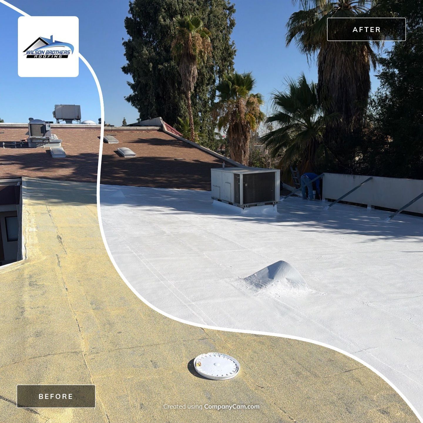 Rooftop with white coating and HVAC units beside trees and a clear blue sky