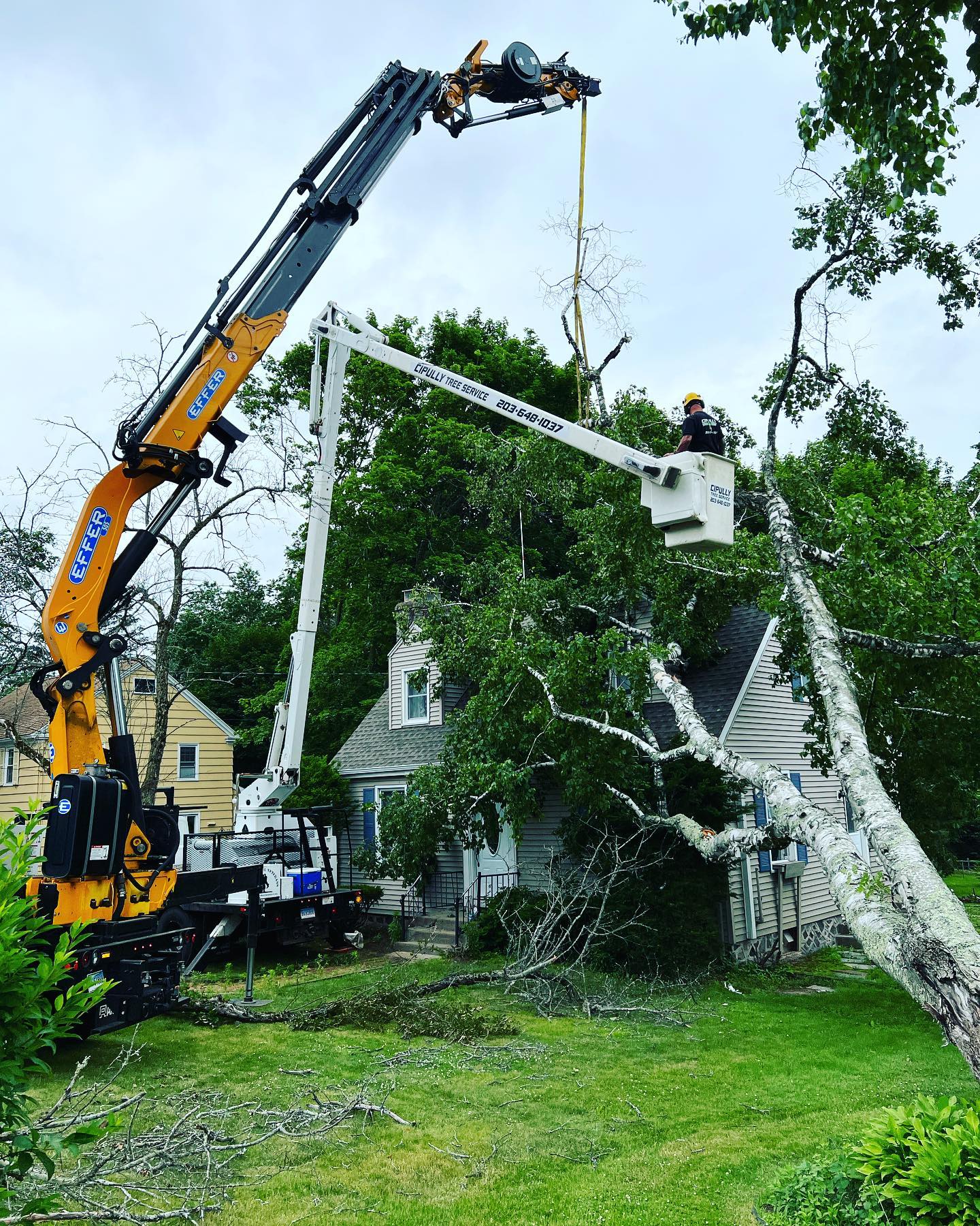 Storm damage clean up