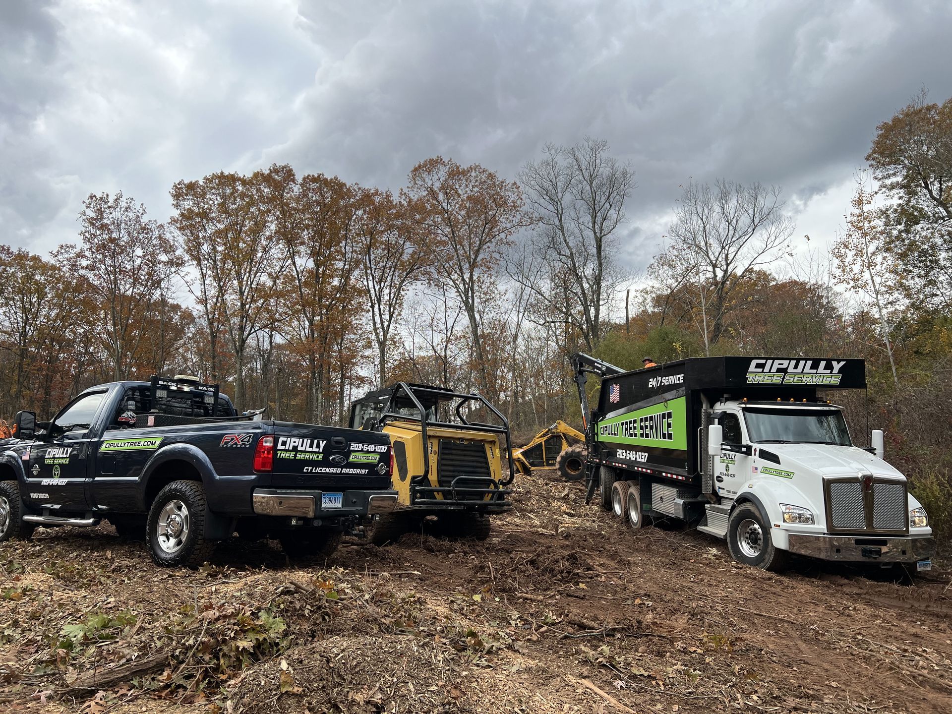 Three work trucks in a wooded area, one with a dump bed. Land clearing equipment present. Overcast sky.
