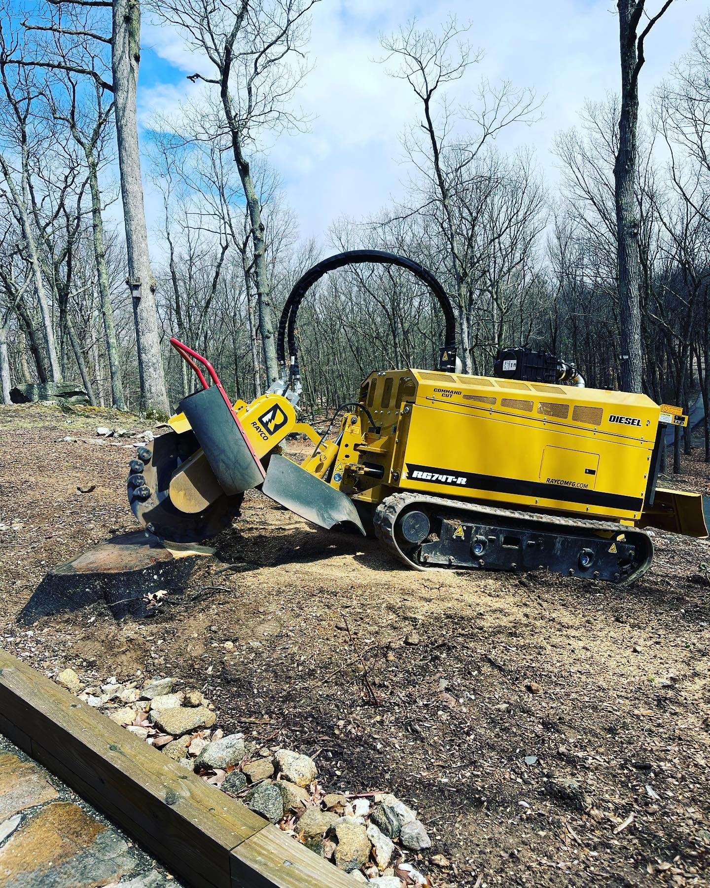 Tree stump removal
