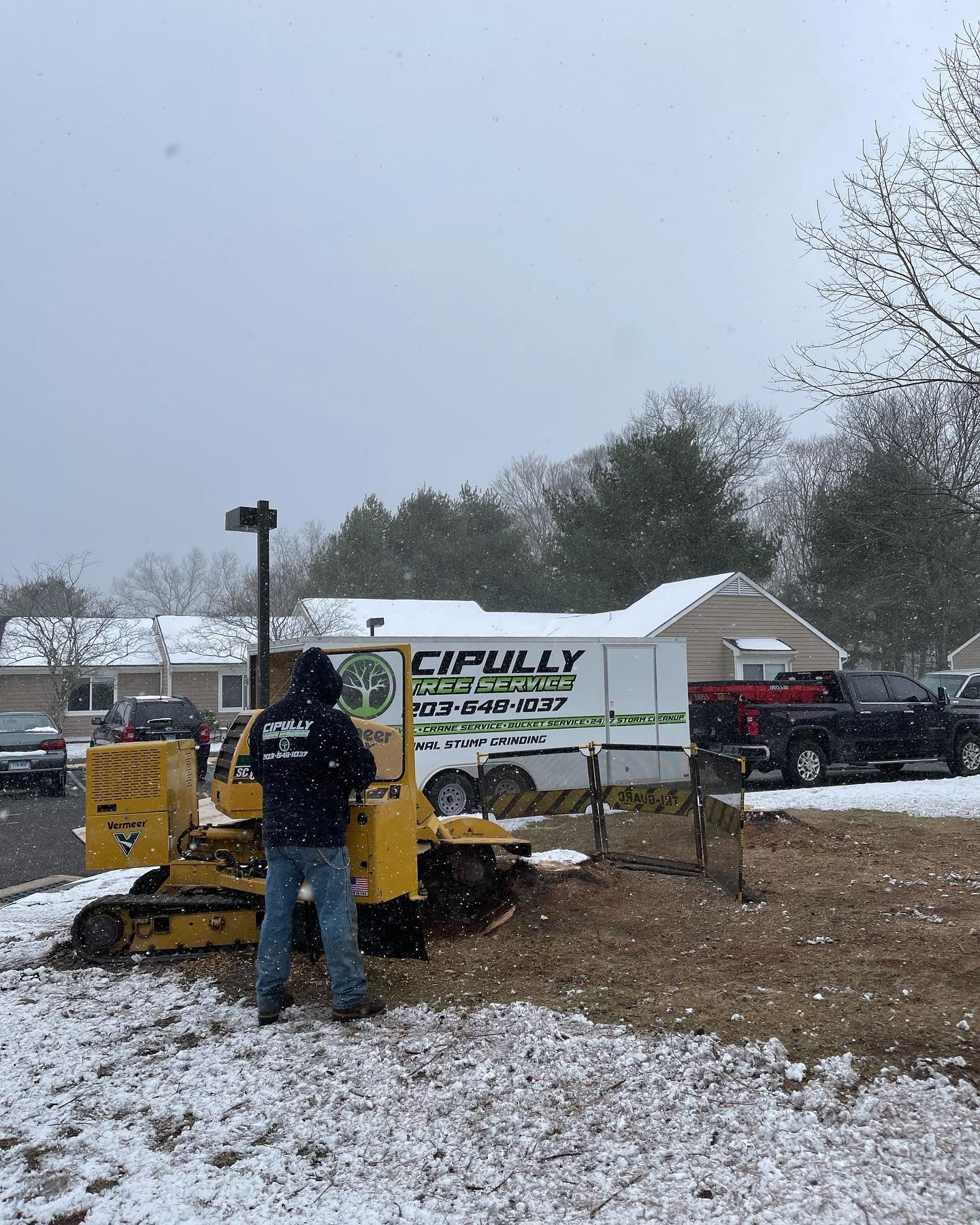 Tree stump removal