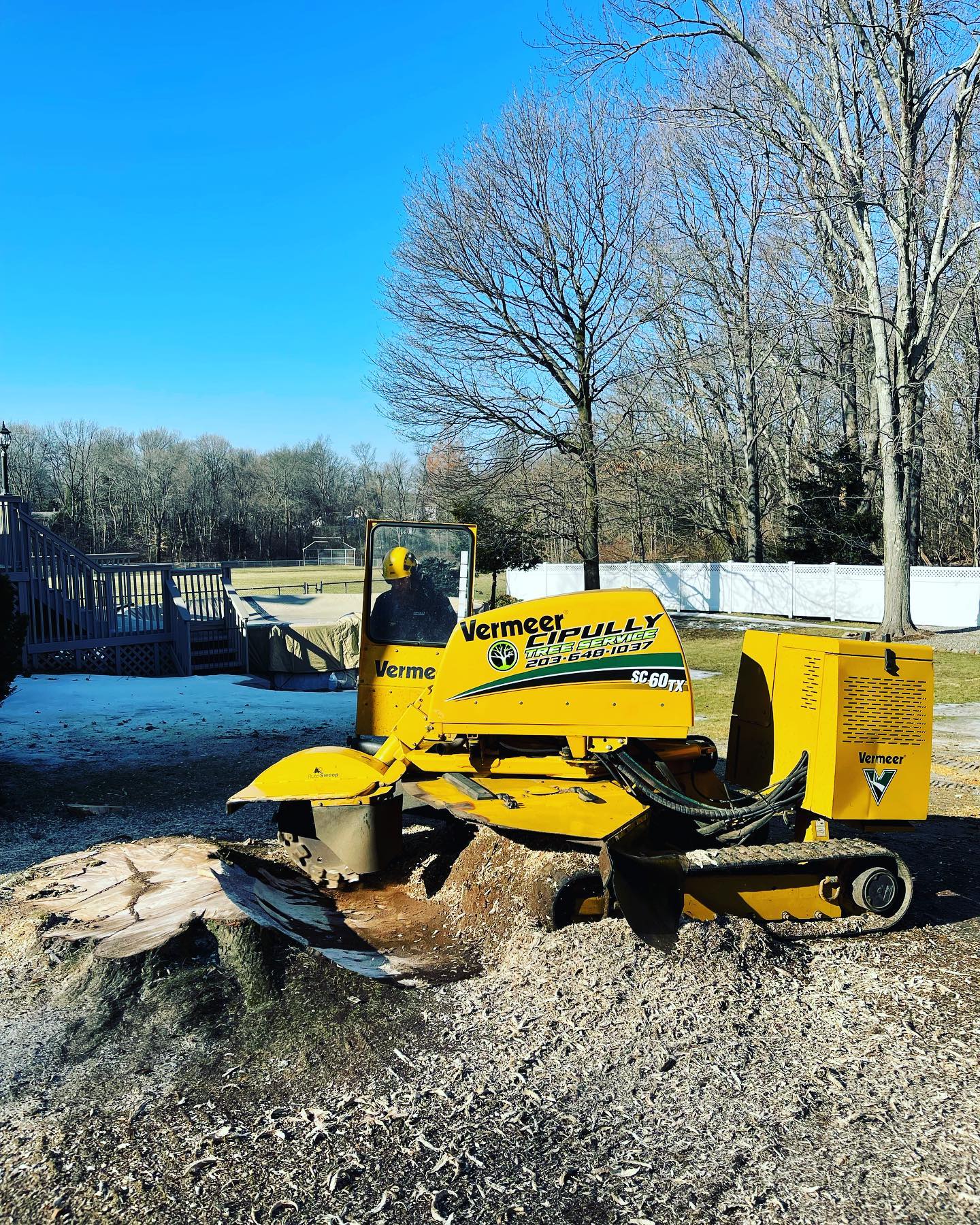 Tree stump removal