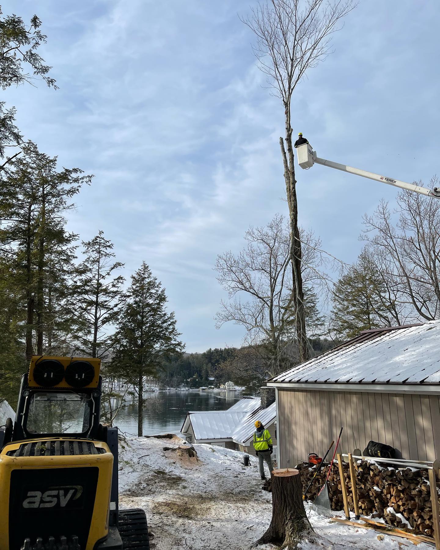 Tree removal services