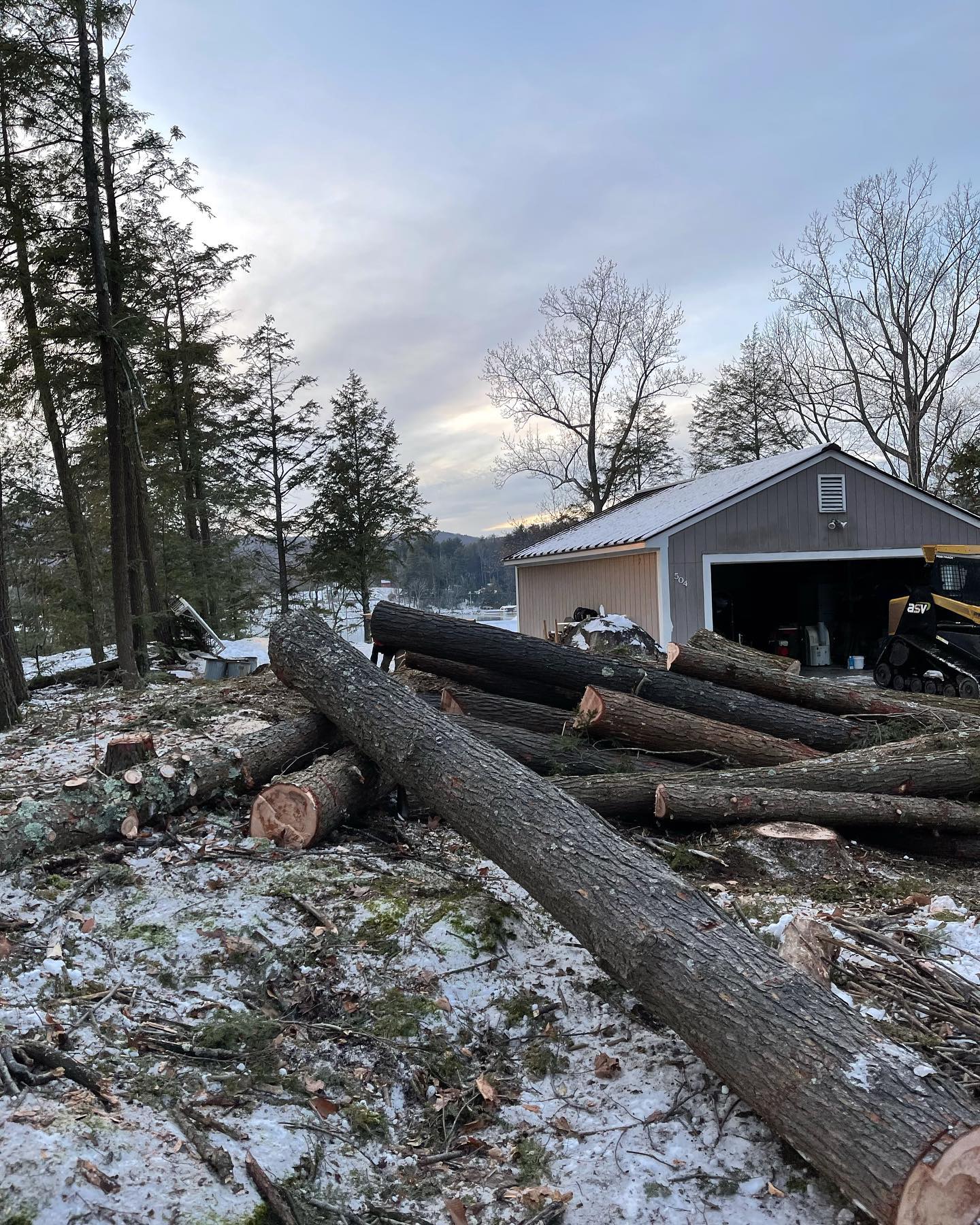 Tree services