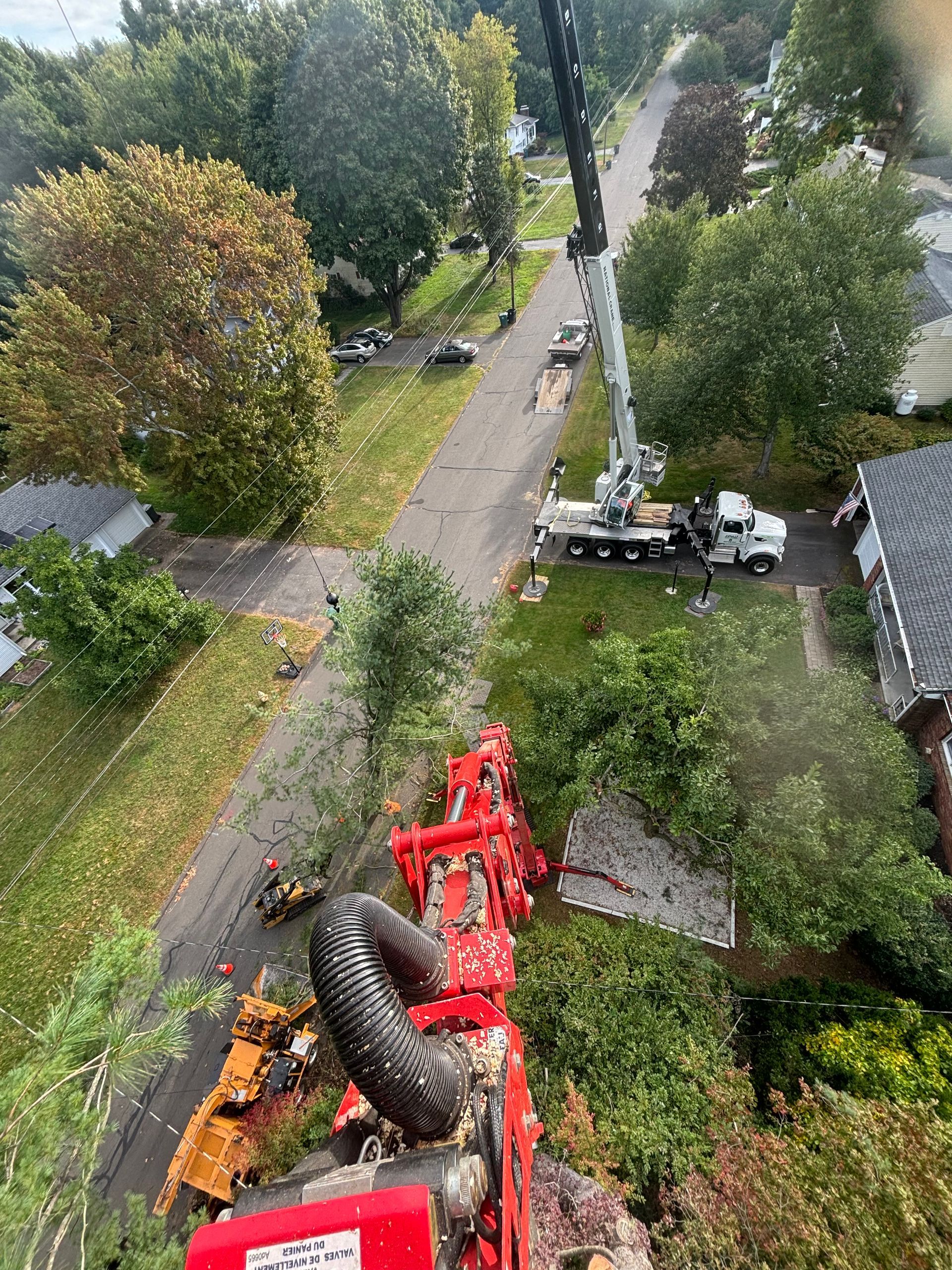 An aerial view of a crane cutting a tree in a residential area.