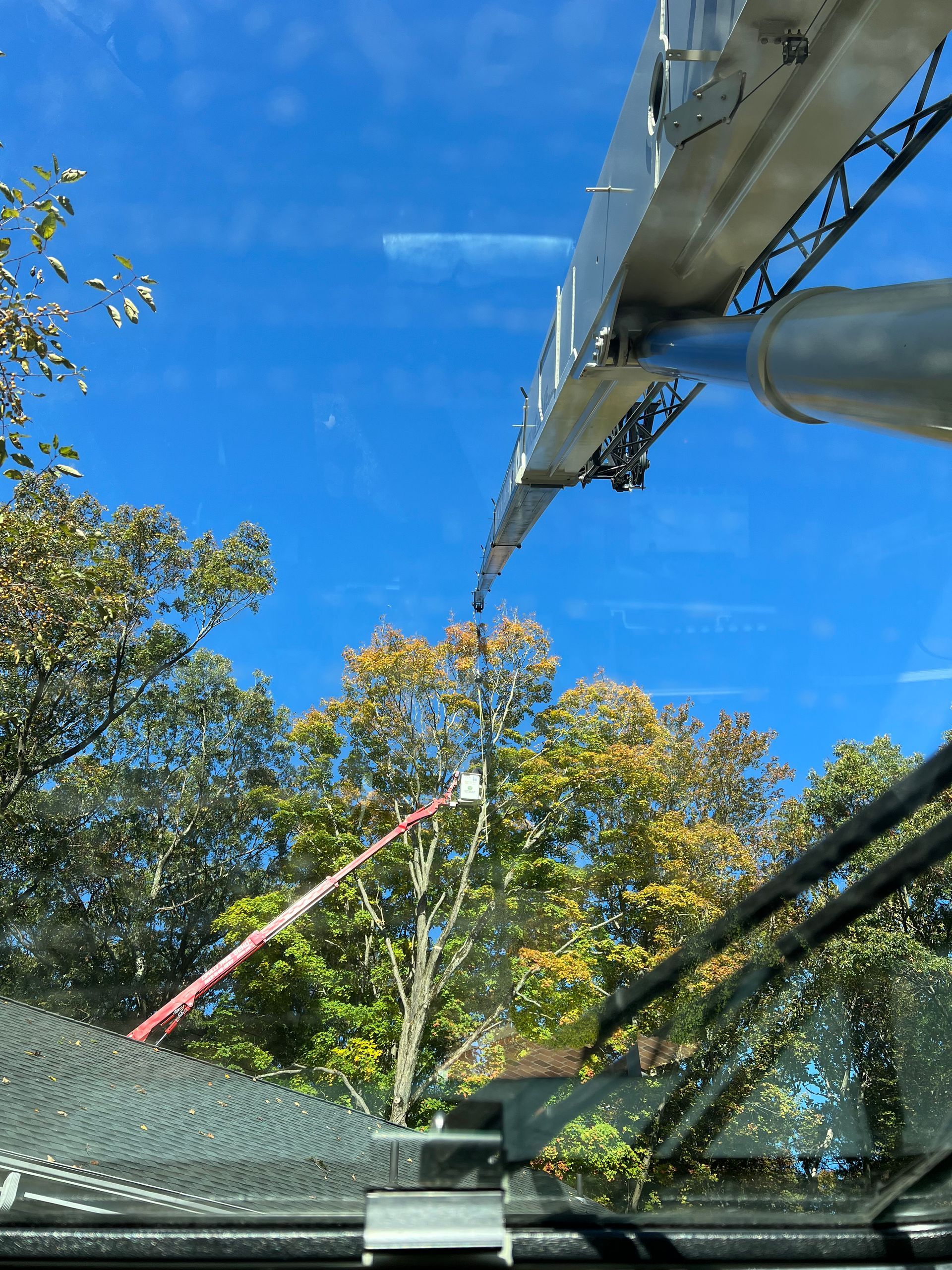 A crane is lifting a tree in the air.