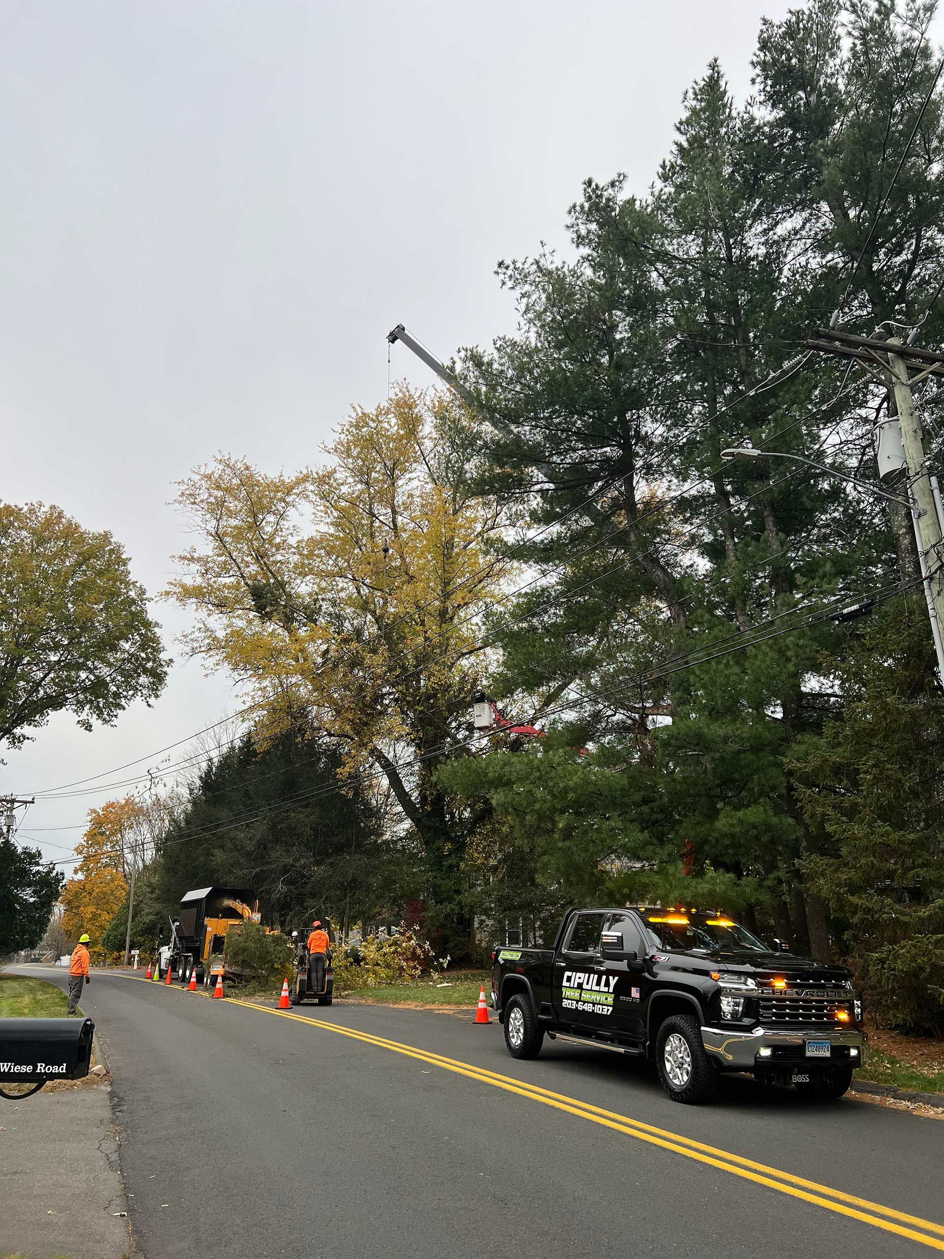 tree trimming crew on a road with a boom lift