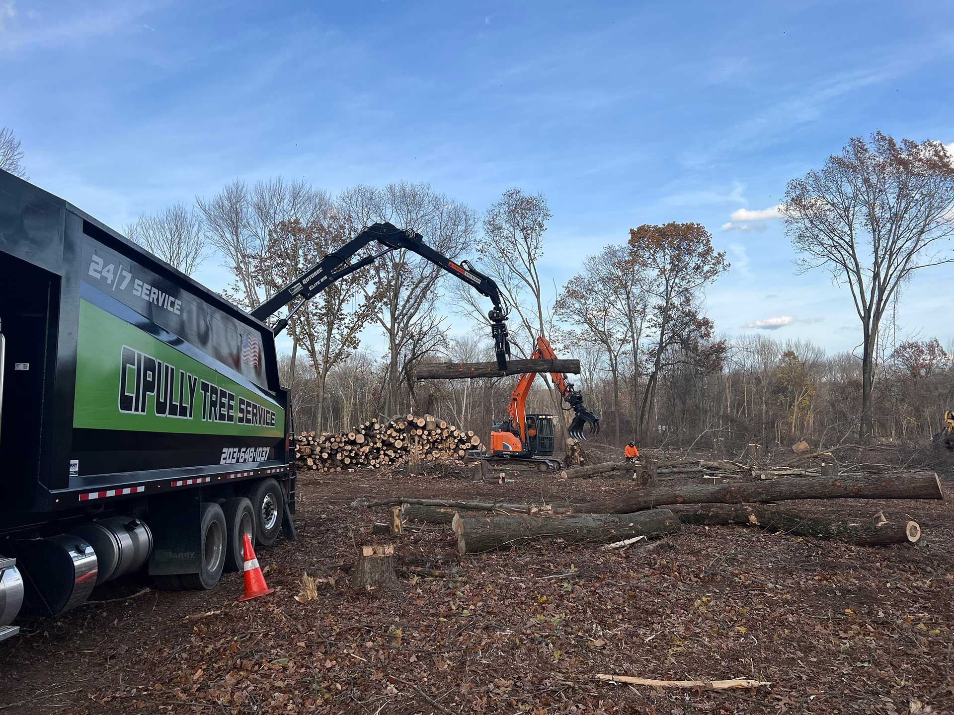 tree removal operation: excavator with grapple arm loading logs onto a truck