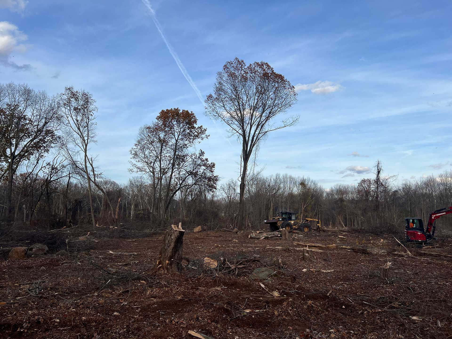 land clearing with felled trees, excavator, and construction equipment under a cloudy sky