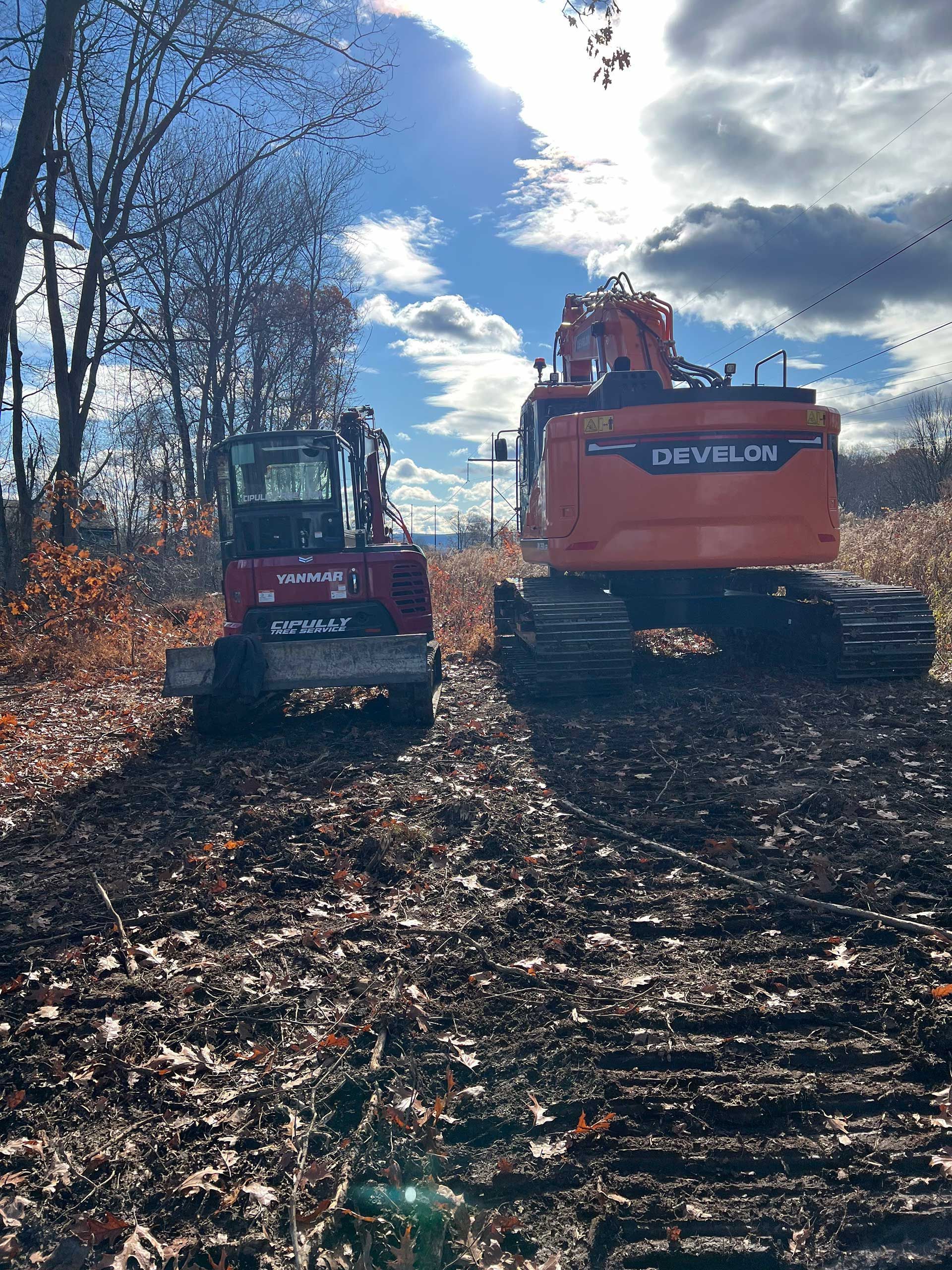 two orange forestry machines on muddy ground under a blue sky