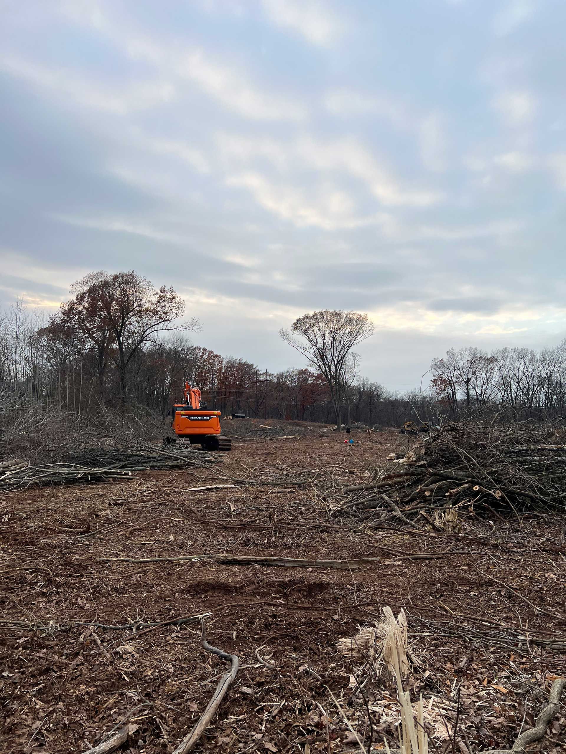 excavator clearing a forest, wood chips and cut trees on the ground, overcast sky